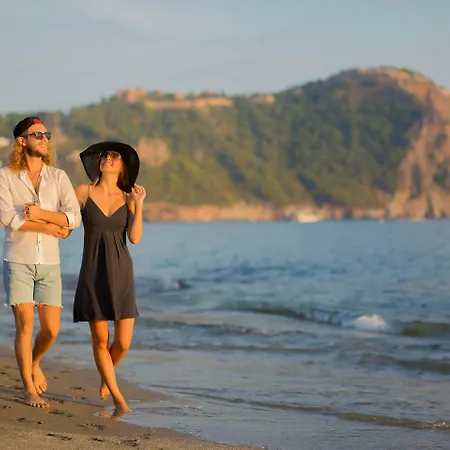 Kleopatra Royal Palm