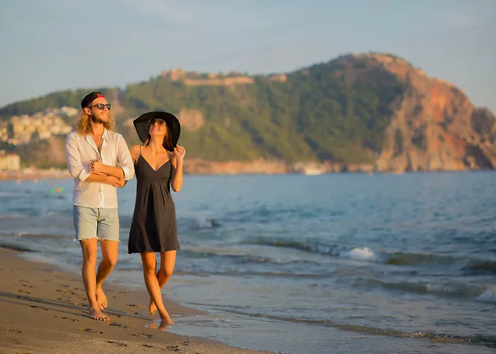 Kleopatra Royal Palm