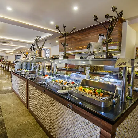 Kleopatra Royal Palm