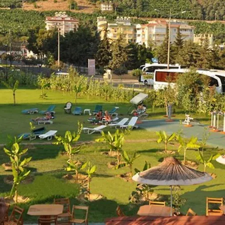 Kleopatra Royal Palm منتجع ألانيا