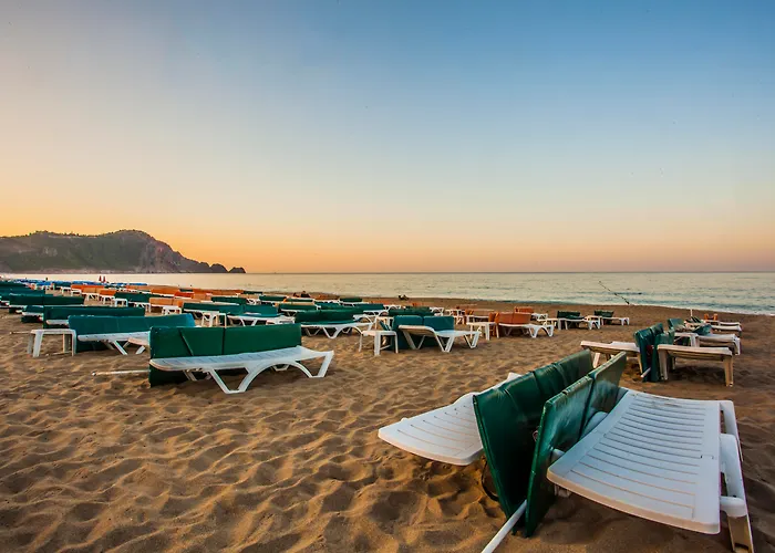 Kleopatra Royal Palm 4*