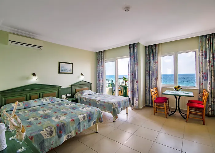 Kleopatra Royal Palm