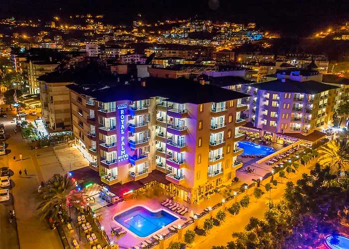 Kleopatra Royal Palm