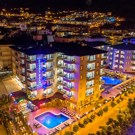 Kleopatra Royal Palm